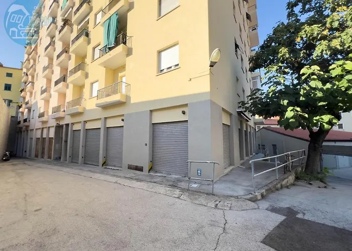 Economo B5 Tirabora Short Rent